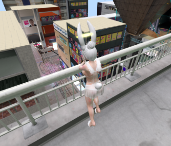 Snapshot_17045