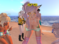 Snapshot_22227