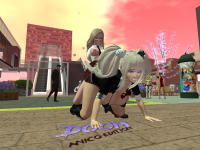 Snapshot_22672