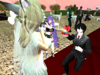 Snapshot_22999