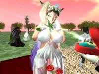 Snapshot_23003